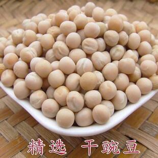 白豌豆种子粮食无须豌豆高产晚熟芽苗菜品种大田菜园播种蔬菜种子