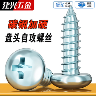 3.5 5.5 3.9 4.8 6.3 4.2 镀锌加硬盘头自攻螺丝钉十字圆头ST2.9
