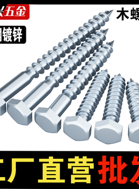 外六角自攻螺丝钉粗牙加长自钻家具螺钉M6M8M10M12镀锌自攻木螺栓