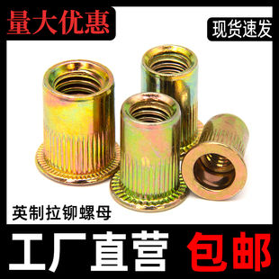 32镀锌竖纹铆螺母 英制拉铆螺母 美制平头条纹拉锚1