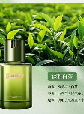 无火香薰香水家居车载薰香酒店民宿除臭清新空气摆件香氛