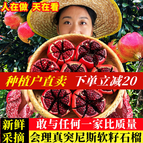 官方推荐|正宗会理软籽石榴