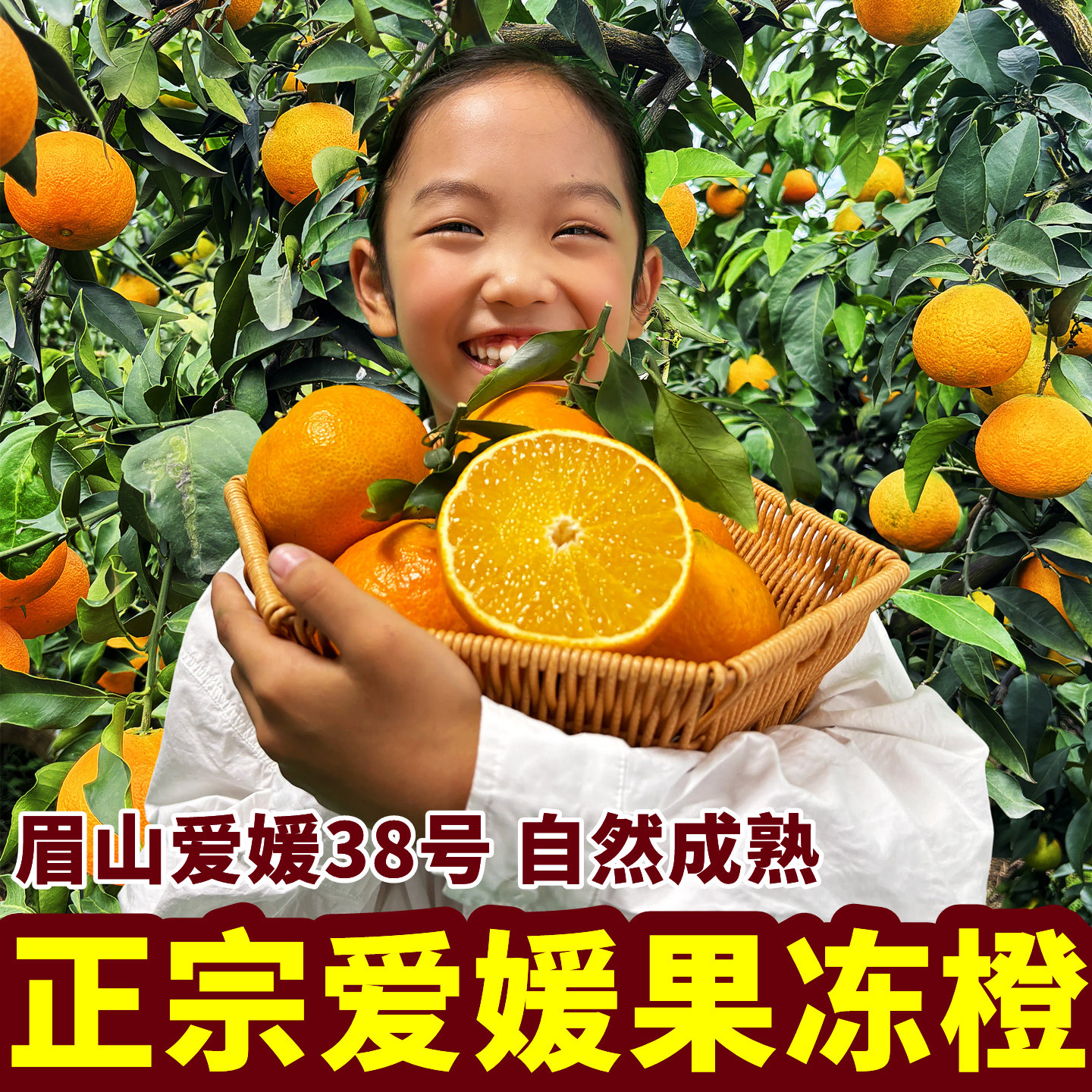 正宗眉山爱媛38号果冻橙