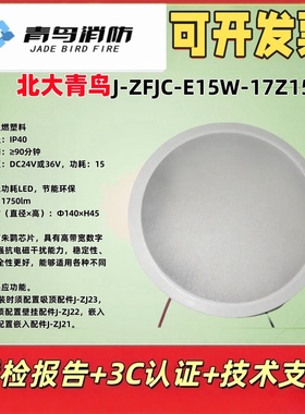 北大青鸟应急灯J-ZFJC-E8W-17Z13A集中控制照应急照明灯 量大优惠