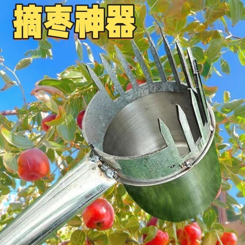 摘枣新款酸枣摘果器采果山枣柏树神器小枣工具扎手摘水果神器