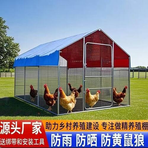 鸡棚大型养殖鸡舍户外养鸡特大号家禽防雨孔雀鸽笼鸡笼搭建家用