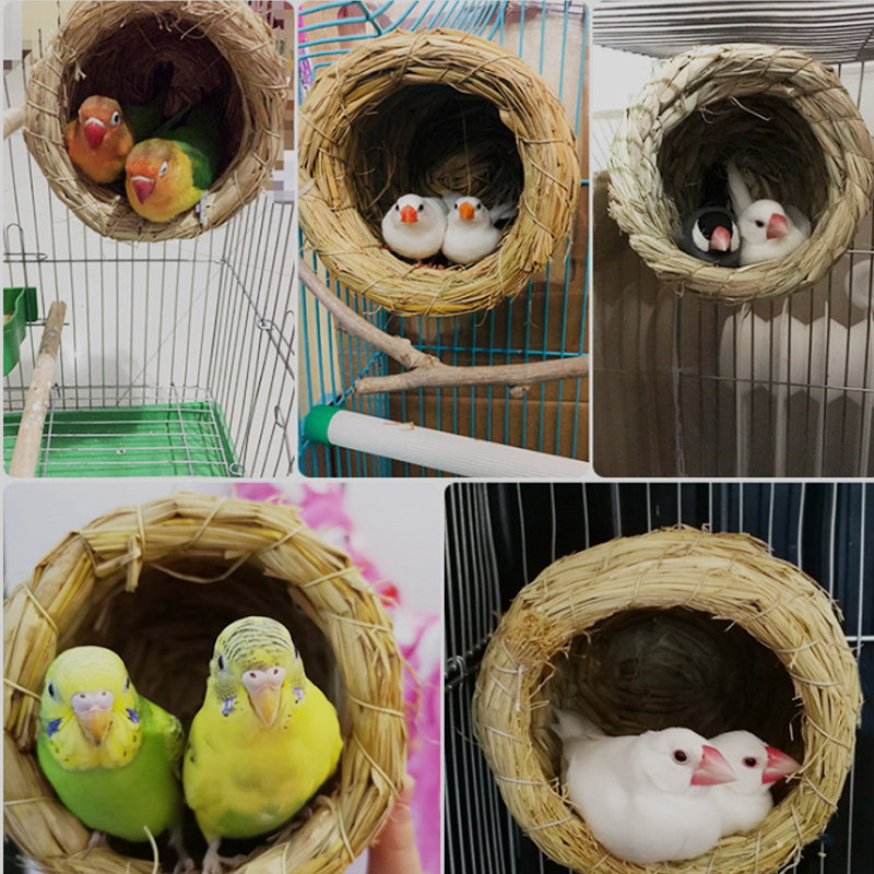 虎皮鹦鹉窝鸟窝草编鸟窝鸟巢牡丹文鸟繁殖箱鸟用具鹦鹉鸟用品包邮