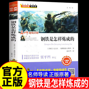 钢铁是怎样炼成的 小学语文新课标必读丛书 核心素养阅读经典名著轻松读 天津人民美术出版社 苏联 尼古拉· 奥斯特洛夫斯基 著