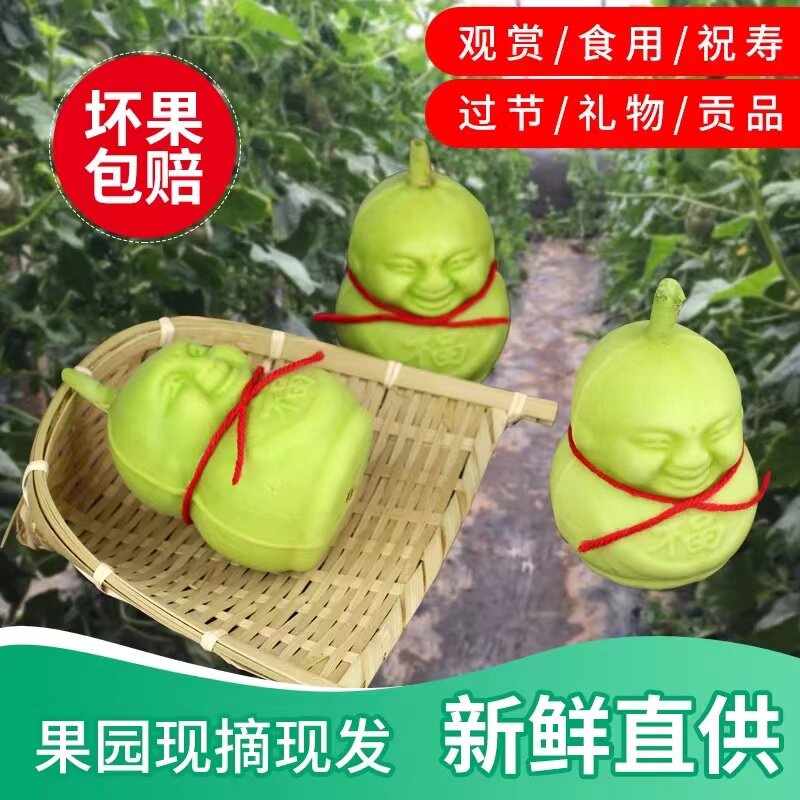 人参果福娃新鲜水果人形果人身果长寿果贡果甜瓜节日礼品罕见水果