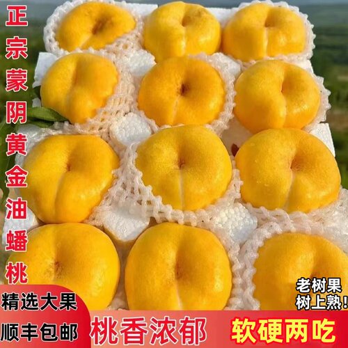 彩虹油蟠桃新鲜水果当季整箱黄金蟠桃蒙阴蜜桃黄蟠桃黄心油桃扁桃