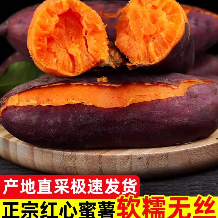 福建漳州六鳌蜜薯红薯新鲜糖心板栗沙地瓜产地直发红心番薯整箱