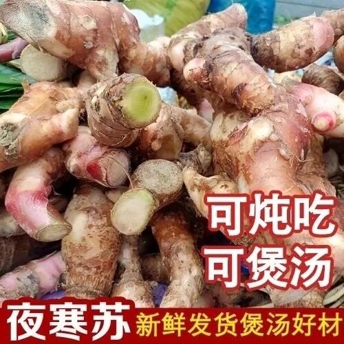 野生草果花新鲜大姜生姜路边姜香料炖肉煲汤烧烤可吃调料夜寒苏