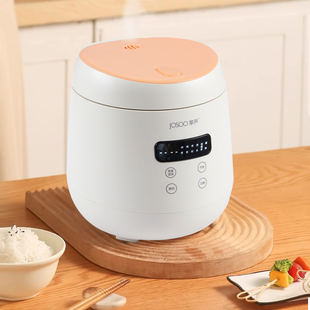 掌声2122M4020出口2L小型家用电饭煲沥水分离低糖小电饭锅1人 3人