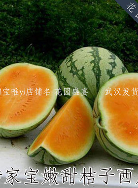 买1送1传家宝嫩甜桔子西瓜种子可留种大型橙色西瓜