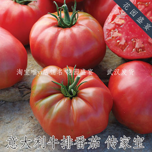 传家宝番茄意大利牛排种子大马蹄可留种美国进口非国产