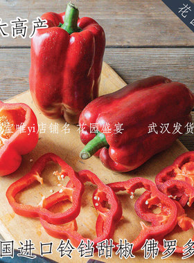 F1进口超大Lamuyo红色铃铛甜椒佛罗多种子美味盆栽地栽高产抗病