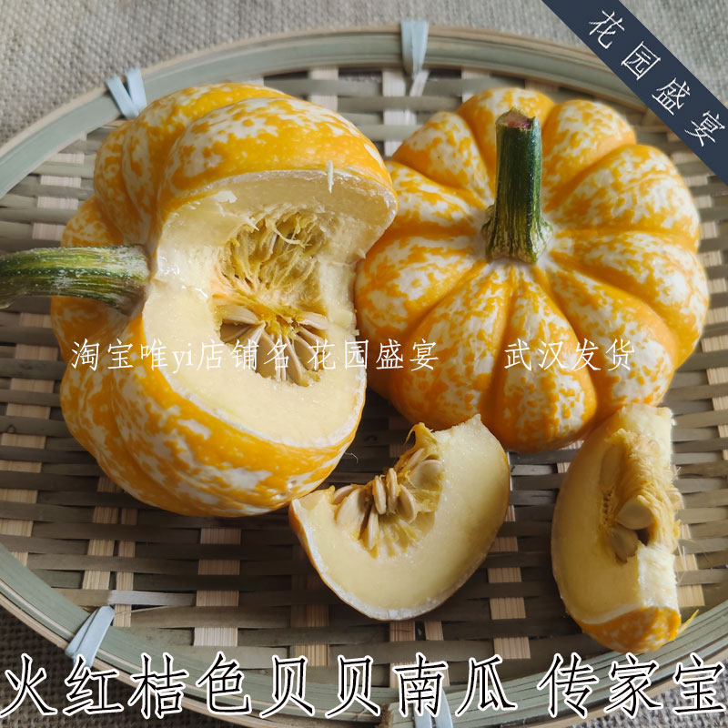 买1送1 火红桔色条纹贝贝南瓜种子可留种（包发芽）