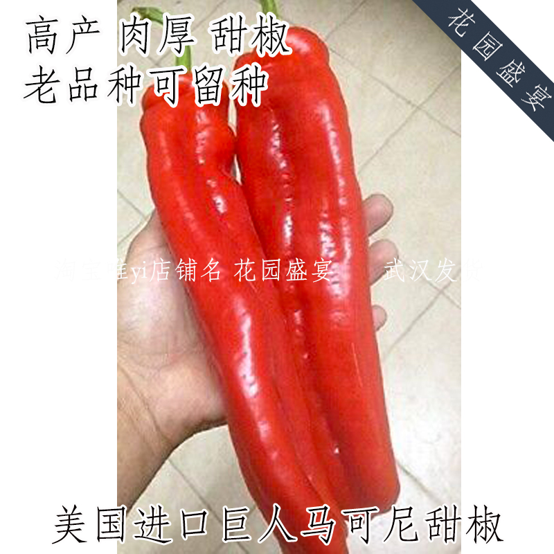 花园盛宴巨型甜椒可留种