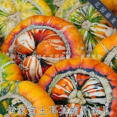 花园盛宴传家宝南瓜彩色
