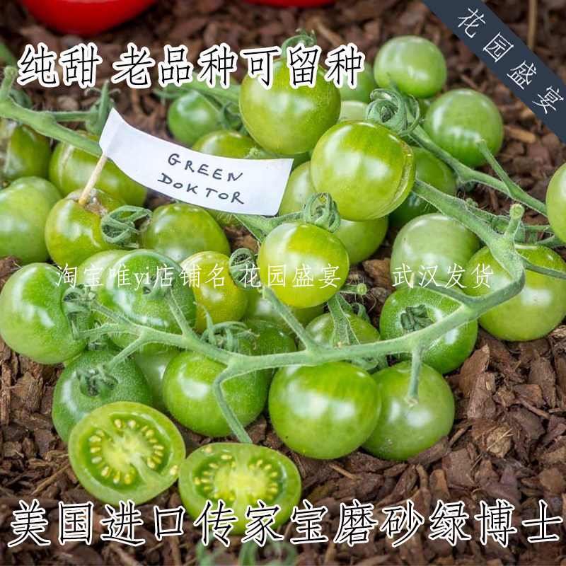 花园盛宴纯甜番茄绿博士