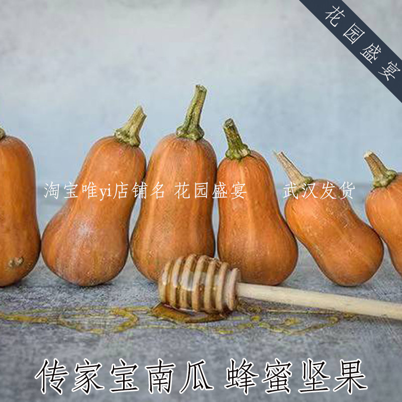 可留种甜美迷你南瓜蜂蜜坚果种子3粒半灌木藤本美国进口菜种盆栽,鲜花速递/花卉仿真/绿植园艺,家庭园艺种子,淘宝优惠券,粉丝福利购,淘宝优惠卷