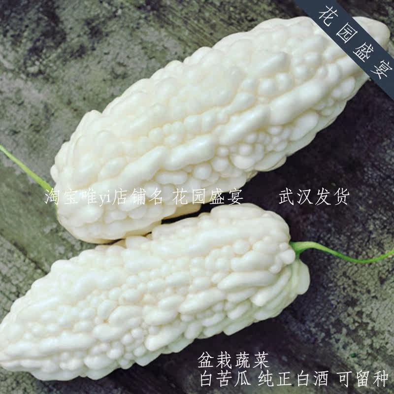 老品种传家宝白苦瓜纯正白酒种子进口蔬菜盆栽地栽,鲜花速递/花卉仿真/绿植园艺,家庭园艺种子,淘宝优惠券,粉丝福利购,淘宝优惠卷