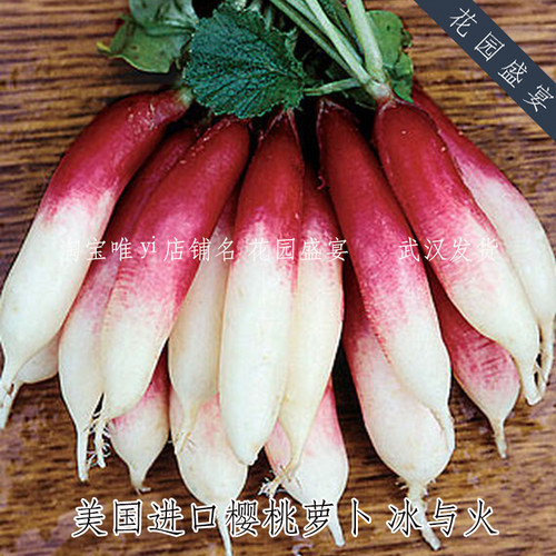 小樱桃甜萝卜美国BURPEE