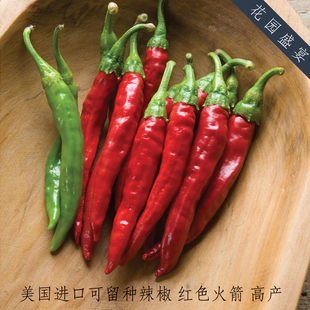 可留种有机卡宴辣椒种子6-10粒 红色火箭 新手推荐 可盆栽 高产