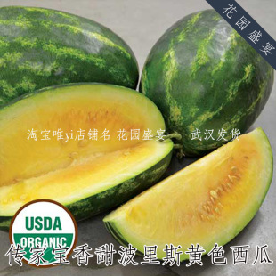 4粒有机香甜传家宝可留种波里斯黄色西瓜种子美国进口