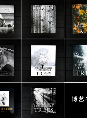 装饰真书样板间售楼处仿真书