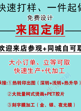 LOGO加工定做定制 数码热转印贴 柯式PET胶片DIY刻字印花烫画布贴