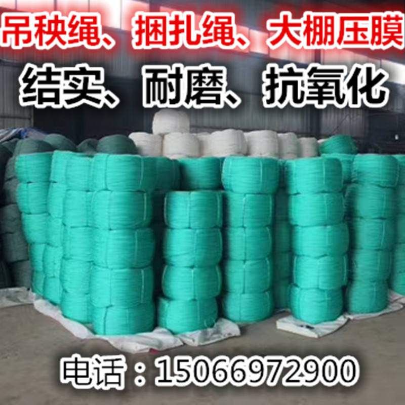 吊秧尼龙绳子捆绑绳耐磨耐晒被绳加粗聚乙烯塑料绳拉绳定型拉枝绳
