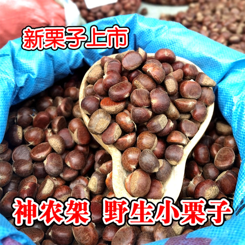 神农架野生小栗子脆甜