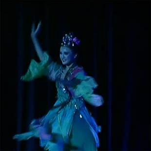 舞蹈服装演出服女子独舞柳绿桃红桃李杯舞蹈比赛展演艺考服装定制