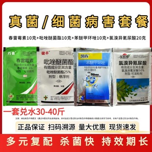 50%氯溴异氰尿酸春雷霉素苯醚甲环唑吡唑醚菌酯杀菌剂农药杀菌剂