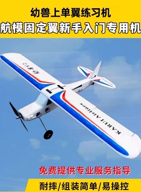 幼兽航模练习机 入门固定翼 上单翼飞机 塞斯纳 EPO电动快拆机翼