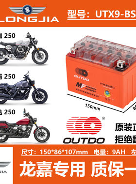 适用龙嘉V咖250i V霸V途250 VMAX300ie XDV250奥特多摩托车电瓶