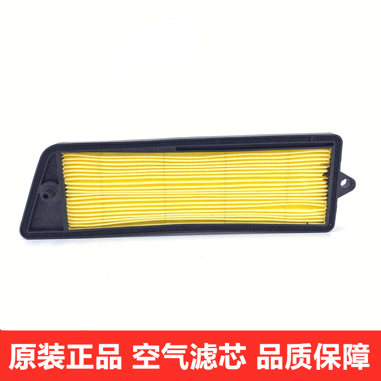适用铃木海王星HS125T空滤芯 HS125T-2 福星空气过滤器 空滤器芯