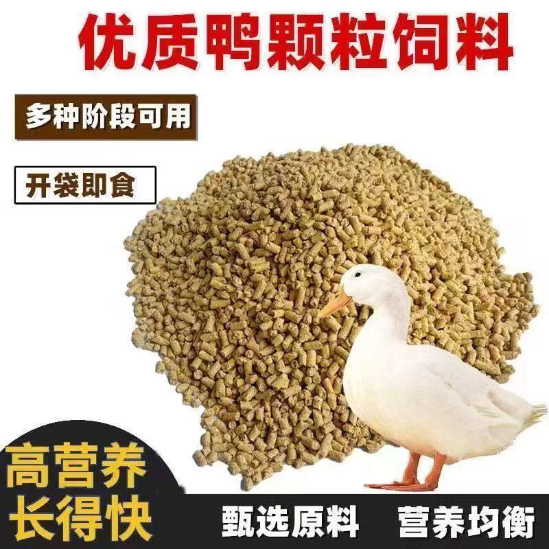 可达鸭活物柯基鸭观赏鸭营养粮宠物小黄鸭科尔鸭仔专业育雏饲料