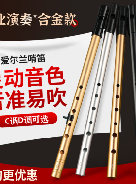 爱尔兰哨笛专业演奏款竖笛6孔成人C调D调初学者入门六孔高音直笛