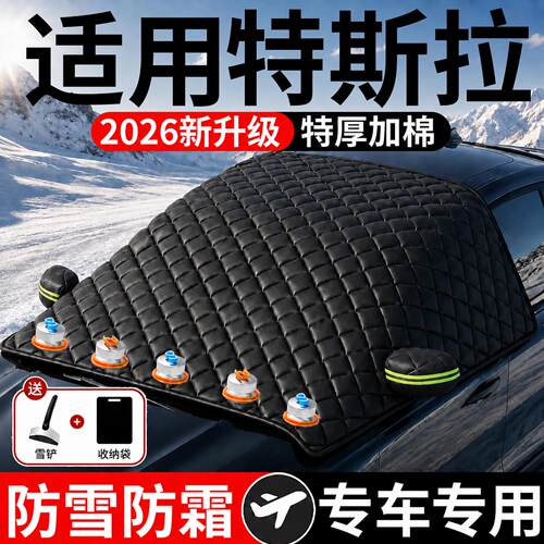 【特斯拉】汽车三窗遮雪挡