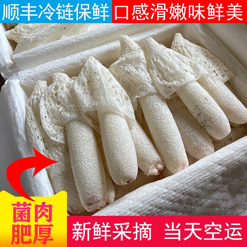 云南新鲜竹荪肉厚味美