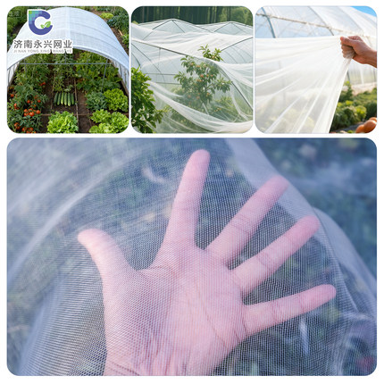 防虫网大棚专用加厚加密农用蔬菜果树园抗老化养殖围网防蚊苍蝇网