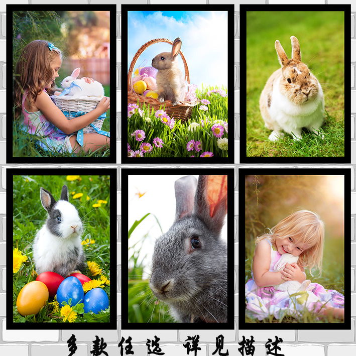 动物世界海报画小白兔灰兔长耳兔可爱兔子现代客厅房间装饰画贴画图片