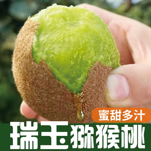 周至瑞玉猕猴桃蜜甜味(比翠香甜)