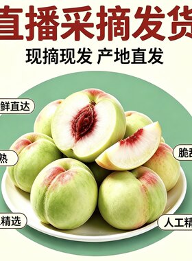 【离核脆桃】【老树现摘】