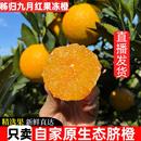 包邮 宜昌九月红秭归脐橙新鲜橙子当季 水果手剥果冻橙甜橙大果整箱