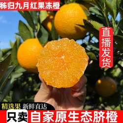 宜昌九月红秭归脐橙新鲜橙子当季水果手剥果冻橙甜橙大果整箱包邮