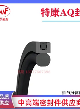 特瑞堡TRELLEBORG德国宝色霞板B+S特康AQ封PQ1200500密封件  301