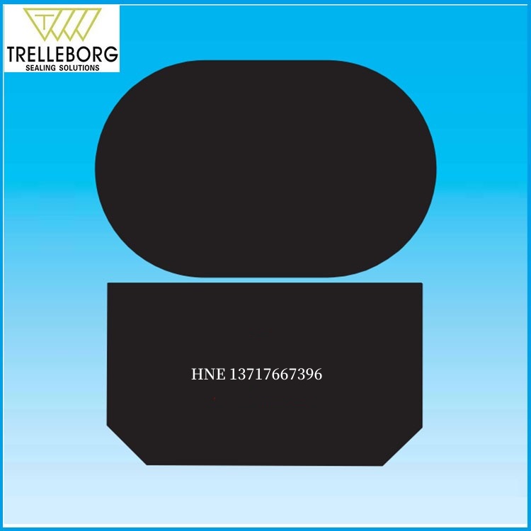 特瑞堡T耐磨损特康格莱圈密封圈